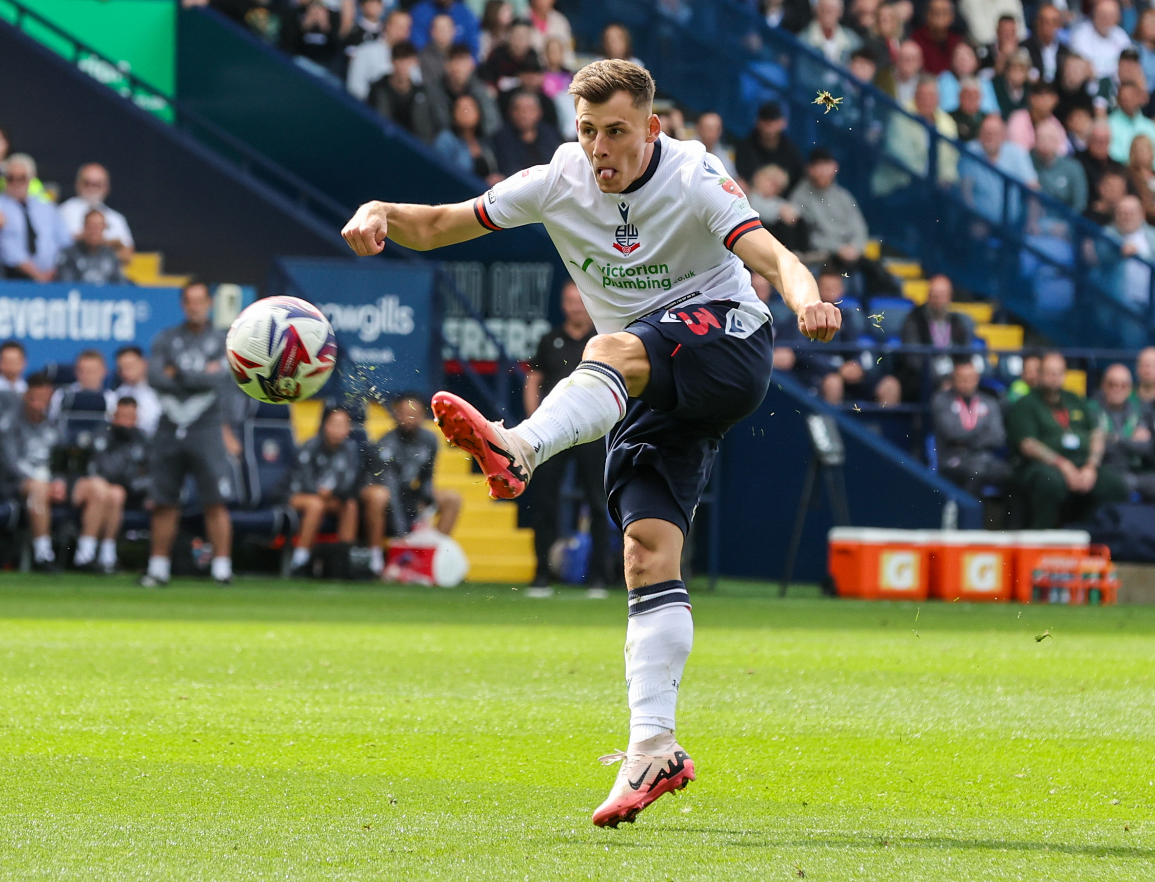 Schön Szabolcs Bolton Wanderers Fotó: Getty Images